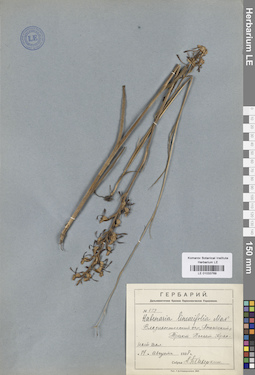 LE 01033769