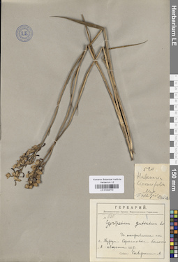 LE 01033770