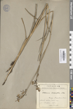 LE 01033782