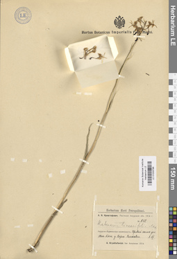 LE 01033799