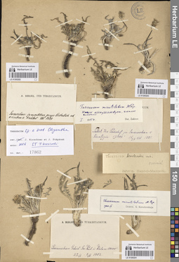 LE 01265201