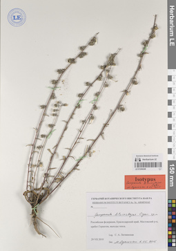 LE 01204248