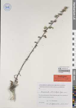 LE 01204249