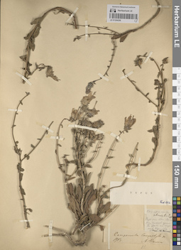 LE 01204250