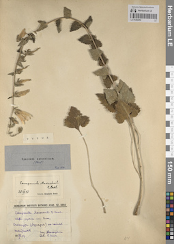 LE 01204252