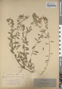 LE 01204341