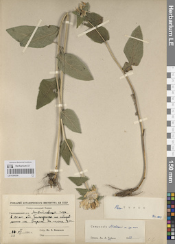 LE 01204258