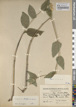 LE 01204259