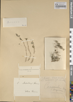 LE 01204261