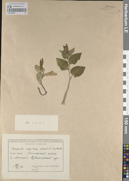 LE 01204263
