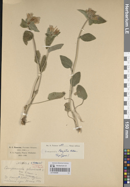 LE 01204269
