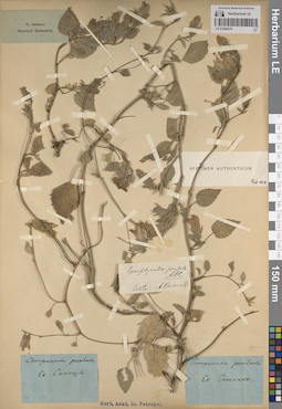 LE 01204270