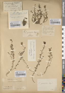 LE 01204273
