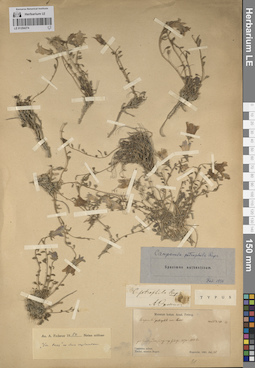 LE 01204274