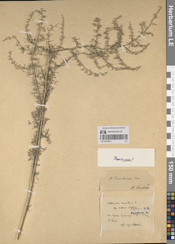 LE 01072971