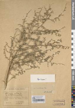 LE 01072972