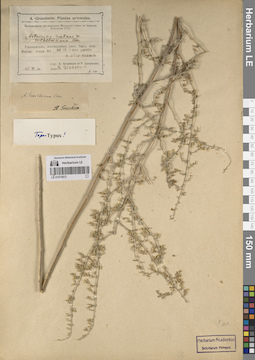 LE 01072973