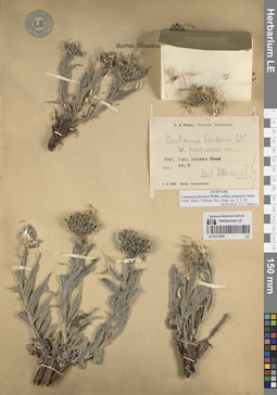 LE 01072684