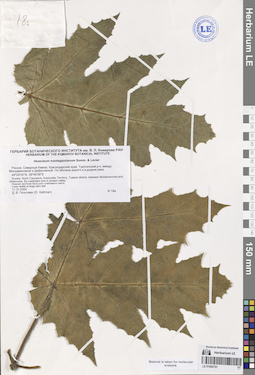 LE 01082791