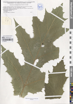 LE 01082793