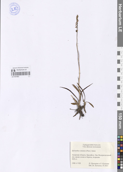 LE 01251803