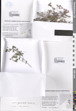 LE 01259788