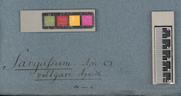 LE A0003756