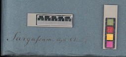 LE A0003830