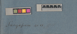 LE A0003845