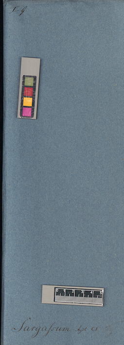 LE A0003924