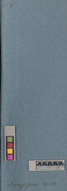 LE A0003945