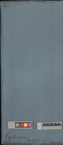 LE A0003973