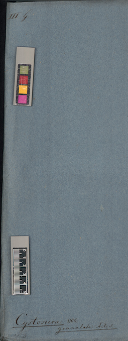 LE A0003983