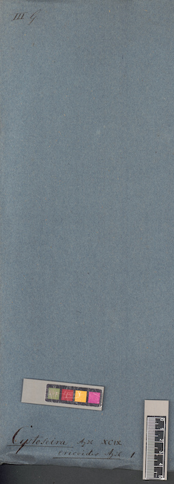 LE A0004395