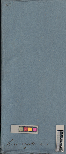 LE A0004442