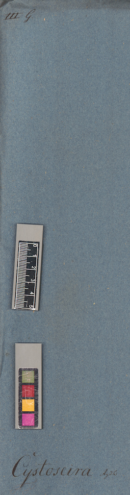 LE A0004462