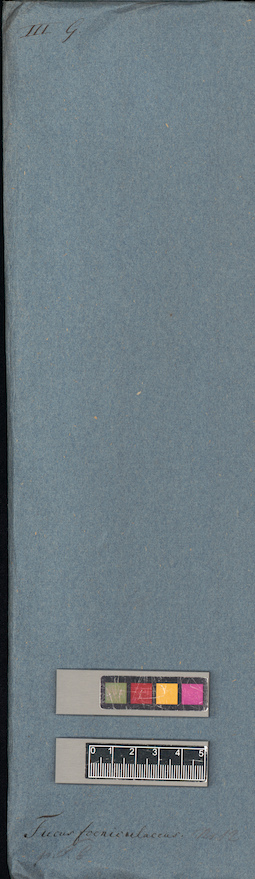LE A0004478