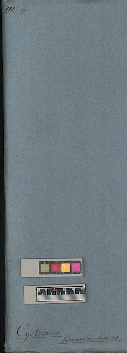 LE A0004494