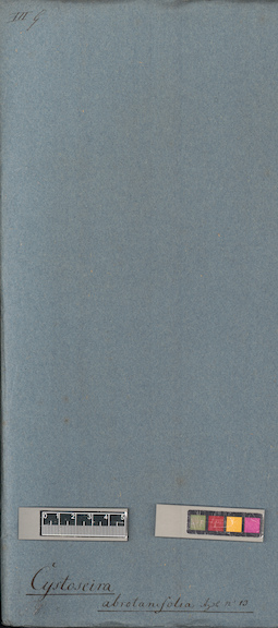 LE A0004515