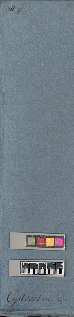 LE A0004607