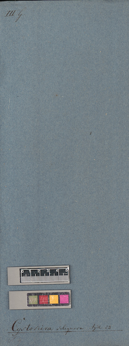 LE A0004616