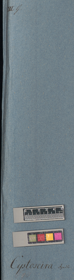 LE A0004640