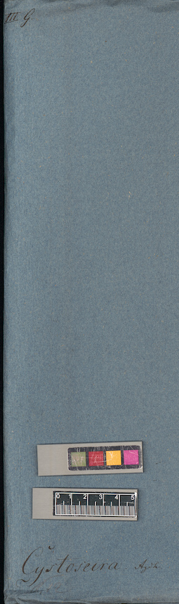 LE A0004648