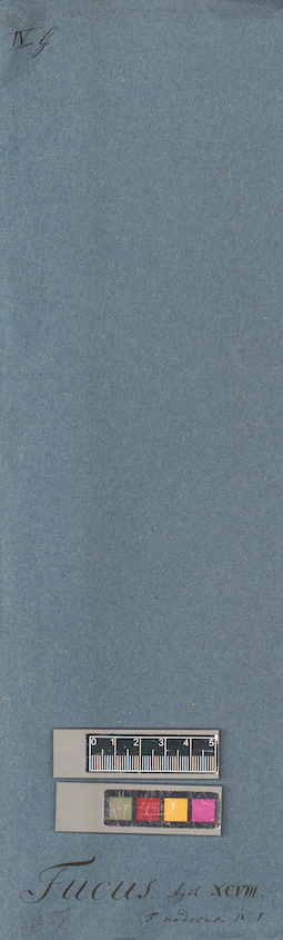 LE A0004665