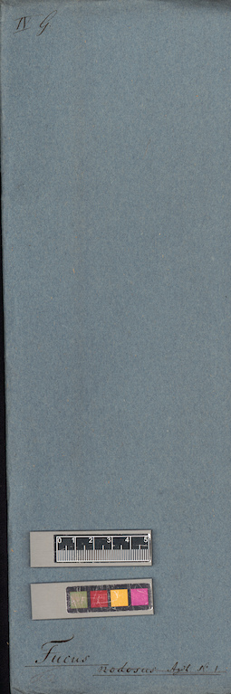 LE A0004671