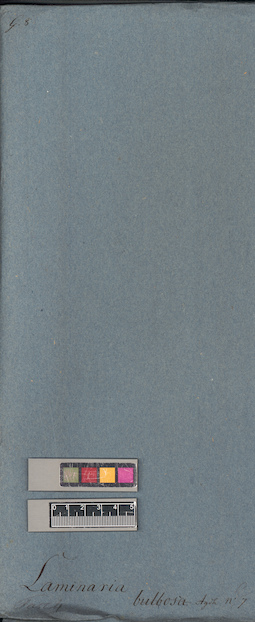 LE A0004685