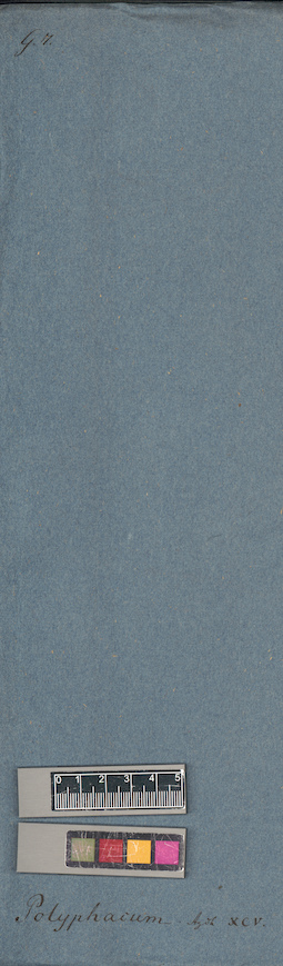 LE A0004698