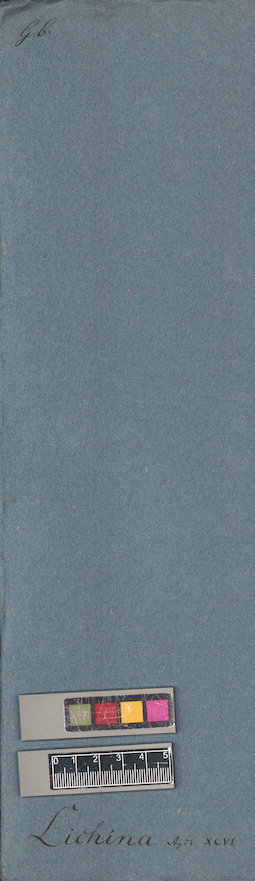 LE A0004699