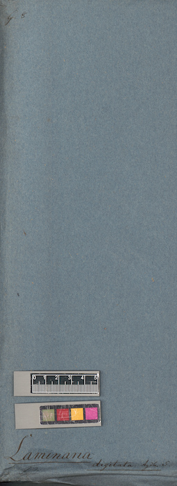 LE A0004701