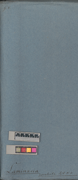 LE A0004716